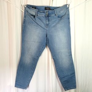 Premium Lightwash Torrid Skinny Jeggings